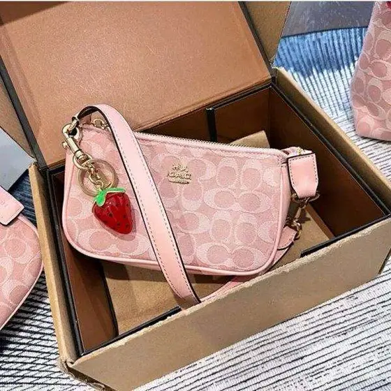 Coach Nolita Bag